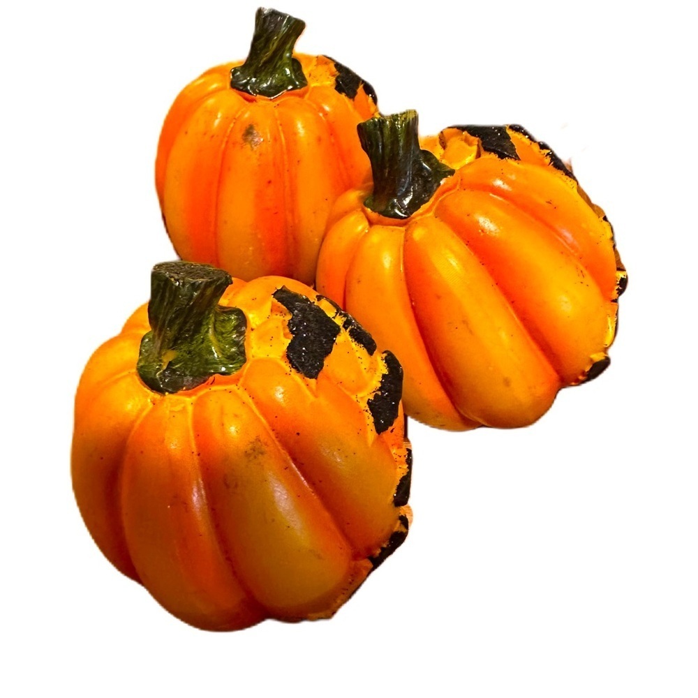 Pumpkin Fall Home Decor Set 3 - Picture 4 of 5